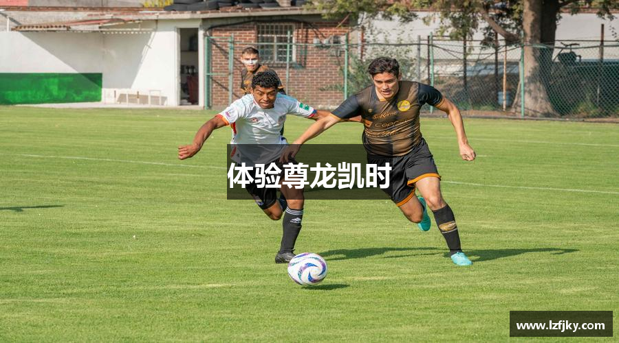 体验尊龙凯时